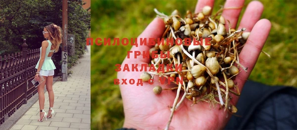 прущий лед Медногорск