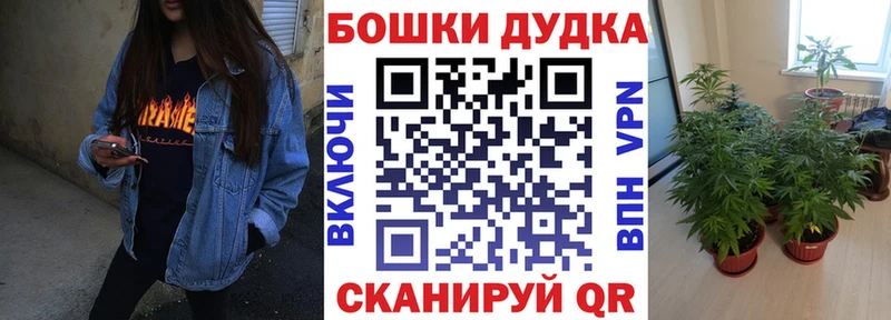 Каннабис план  Городище 